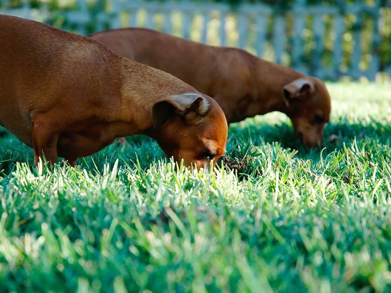 sudoku timer mode screenshot 6